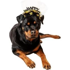 Midlee Happy New Year Dog Headband -Pet Halloween Costumes Shop GUEST 01a92d65 1d13 48c0 b123 ec98f726d163