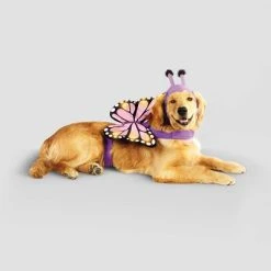 Halloween Full Body LED Butterfly Cat and Dog Costume - Hyde & EEK! Boutique™ 18 Halloween Full Body LED Butterfly Cat and Dog Costume - Hyde & EEK! Boutique™ -Pet Halloween Costumes Shop GUEST 034aba42 c65a 472d 8dbe 5c8509c04883