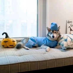 Midlee Scrubs Dog Costume - Large -Pet Halloween Costumes Shop GUEST 03b4dc8e 7226 4949 88f4 b2b4c40635dd 3