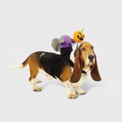 Headless Horseman Squirrel Rider Dog and Cat Costume - Hyde & EEK! Boutique™ 12 Headless Horseman Squirrel Rider Dog and Cat Costume - Hyde & EEK! Boutique™ -Pet Halloween Costumes Shop GUEST 074d438b 072e 413e 95c2 0a09aebf6a71