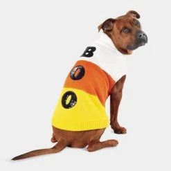 Halloween Candy Corn Boo Dog and Cat Sweater - Hyde & EEK! Boutique™ -Pet Halloween Costumes Shop GUEST 08277b1b 995a 4b44 a9ab 5e12d5a24db4 1
