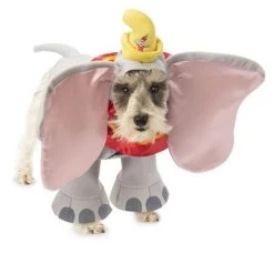 Dumbo Dumbo Pet Costume, X-Large