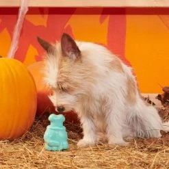 BARK Halloween Super Chewer Knock 'Em Dead Dog Toy 10 BARK Halloween Super Chewer Knock 'Em Dead Dog Toy -Pet Halloween Costumes Shop GUEST 0a9d8f3f c2aa 4764 b3d6 a78cb14d0b5a