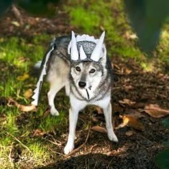 Midlee Dinosaur Dog Headband & Tail Costume -Pet Halloween Costumes Shop GUEST 0aa6c1b9 6d48 4b13 a0cd 95792a724ab4