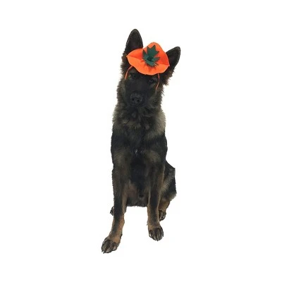 Midlee Dog Pumpkin Headband Halloween Costume 4 Midlee Dog Pumpkin Headband Halloween Costume - Image 2