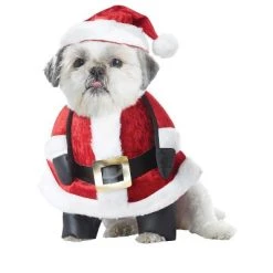 California Costumes Santa Pup Pet Costume