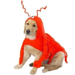 Casual Canine Lobster Paws Dog Costume 10 Casual Canine Lobster Paws Dog Costume -Pet Halloween Costumes Shop GUEST 0c0cd85e c3a4 4ec2 b4a1 553b36b2d010