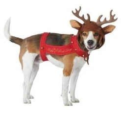 California Costumes Reindeer Dog Pet Costume -Pet Halloween Costumes Shop GUEST 0ff3038b aa49 4276 a284 7560dd0515df 2