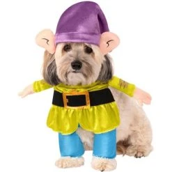 Rubie's Rubies Snow White: Dopey Pet Costume -Pet Halloween Costumes Shop GUEST 1002cb2f 7359 4b98 a128 70e678de3606 2
