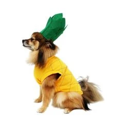 Midlee Pineapple Dog Costume -Pet Halloween Costumes Shop GUEST 11671807 94a7 4ee4 a67c afe206cb9e25
