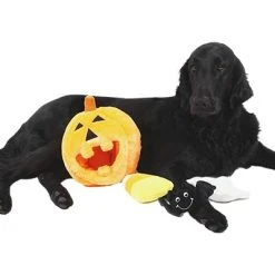 Midlee Pumpkin Find a Toy Halloween Dog Toy 11 Midlee Pumpkin Find a Toy Halloween Dog Toy -Pet Halloween Costumes Shop GUEST 1558c81c 2599 4aea af06 bc1eae3110c8