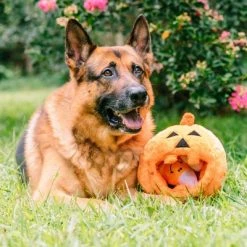 Midlee Pumpkin Find a Toy Halloween Dog Toy 13 Midlee Pumpkin Find a Toy Halloween Dog Toy -Pet Halloween Costumes Shop GUEST 1666c1b0 55b0 428c 8b32 89e9b9cc1483