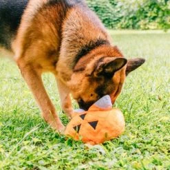 Midlee Pumpkin Find a Toy Halloween Dog Toy 14 Midlee Pumpkin Find a Toy Halloween Dog Toy -Pet Halloween Costumes Shop GUEST 173c8aac 7a7d 4e15 a021 b400ef5dceb9