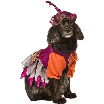 Rubie's Rubies Hocus Pocus Mary Pet Costume 4 Rubie's Rubies Hocus Pocus Mary Pet Costume - Image 2