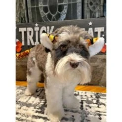 Midlee Tiger Dog Costume Headband & Tail- Large -Pet Halloween Costumes Shop GUEST 1d7cbc85 26d4 4625 8660 92a9f9bde6ce