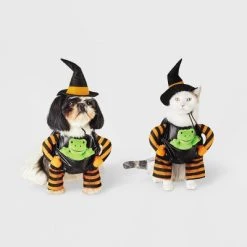 Witch with Toy Frog Dog and Cat Costume - Hyde & EEK! Boutique™ -Pet Halloween Costumes Shop GUEST 1efad272 601e 4297 96d3 ba5f4ee06e2d