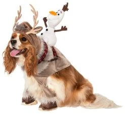 Rubie's Rubies Frozen: Sven Ride On Pet Costume -Pet Halloween Costumes Shop GUEST 20503a79 241c 481c a5dd 6d01f27ecaf9 2