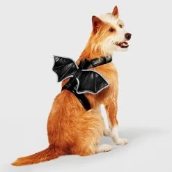 Reflective Halloween Bat Wings Rider Dog and Cat Costume - Hyde & EEK! Boutique™ -Pet Halloween Costumes Shop GUEST 2152008a 90b7 409c 879d c15f0110c5de 1