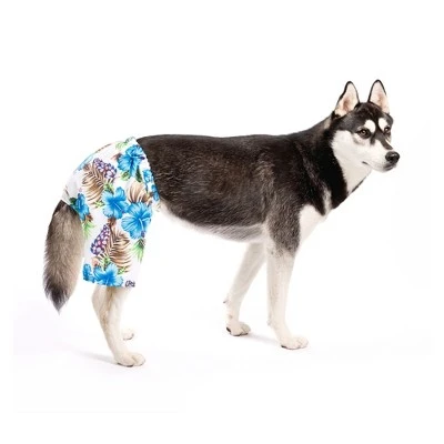 Midlee Blue Hibiscus Hawaiian Dog Board Shorts 1 Midlee Blue Hibiscus Hawaiian Dog Board Shorts