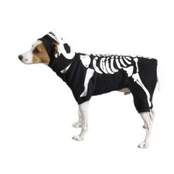 Casual Canine Cotton Glow Bones Dog Costume(Black) 12 Casual Canine Cotton Glow Bones Dog Costume(Black) -Pet Halloween Costumes Shop GUEST 227a0427 a7b4 4559 b916 b745196a470e