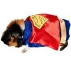 Rubie's Rubies Superman Small Pet Costume -Pet Halloween Costumes Shop GUEST 2301d9a9 1085 44a0 b902 a723449be94d