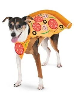 Rubie's Rubies Pizza Slice Pet Costume -Pet Halloween Costumes Shop GUEST 23fc4620 abe7 4580 a840 486d59a8fab8 1