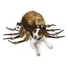Zack & Zoey Fuzzy Tarantula Costume for Dogs 1 Zack & Zoey Fuzzy Tarantula Costume for Dogs -Pet Halloween Costumes Shop GUEST 247b4f80 354a 4d67 a86f 37608edaa05c