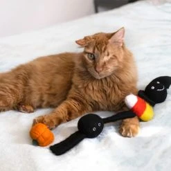 Midlee Halloween Felt Cat Toys Set- Bat, Pumpkin, Spider, Candy Corn -Pet Halloween Costumes Shop GUEST 24f07225 e6e4 4dee 9ae1 0f6cf2a7a179