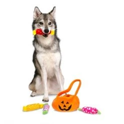 Midlee Find a Toy Halloween Pumpkin Bucket Dog Toy 8 Midlee Find a Toy Halloween Pumpkin Bucket Dog Toy -Pet Halloween Costumes Shop GUEST 294dabd8 dc03 4e3f a2fc 9fb60678e774