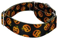 Country Brook Petz 1 1/2 Inch Happy Jack Martingale Dog Collar -Pet Halloween Costumes Shop GUEST 3145f8c4 f548 4937 b962 b3bc86f04dfa