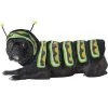 California Costumes Caterpillar Pet Costume -Pet Halloween Costumes Shop GUEST 31b0dc91 1474 4440 af9e c962318ac56f