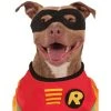 Rubie's Rubies Robin - Big Dogs Pet Costume -Pet Halloween Costumes Shop GUEST 32de0197 8a6b 4f3a a031 6b2e5583b44c
