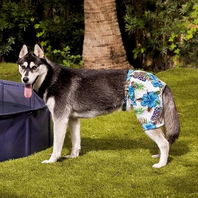 Midlee Blue Hibiscus Hawaiian Dog Board Shorts 2 Midlee Blue Hibiscus Hawaiian Dog Board Shorts - Image 2