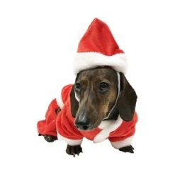 Midlee Dog Santa Claus Costume -Pet Halloween Costumes Shop GUEST 34c1e5a3 3261 4104 8c4b f30962cb754c
