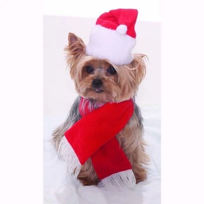 Forum Novelties Santa Christmas Pet Costume 5 Forum Novelties Santa Christmas Pet Costume - Image 3