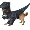 California Costumes Pupasaurus T-Rex Pet Costume, Medium -Pet Halloween Costumes Shop GUEST 3a1fa82d 8677 4e78 b41a 068c5b845cc1