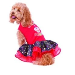 Rubie's Rubies Happy Barkday Tutu Dress Pet Costume -Pet Halloween Costumes Shop GUEST 3c2c8c65 82c1 4f7d a21b 8d28cfaf7452