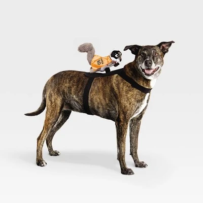 Rider Wings Halloween Superhero Squirrel Cat and Dog Costume - Hyde & EEK! Boutique™ 9 Rider Wings Halloween Superhero Squirrel Cat and Dog Costume - Hyde & EEK! Boutique™ - Image 7