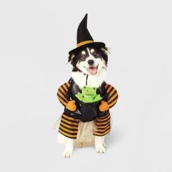 Witch with Toy Frog Dog and Cat Costume - Hyde & EEK! Boutique™ -Pet Halloween Costumes Shop GUEST 3f06d9a9 2c9a 4995 97d3 92d0aac75712