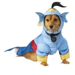 Aladdin Genie Pet Costume, Medium