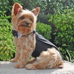 Doggie Design Black Dog Harness Wedding Tuxedo w/Tails, Bow Tie, and Cotton Collar -Pet Halloween Costumes Shop GUEST 3fcd43f9 da14 40ea a4cb 96adc3af7705