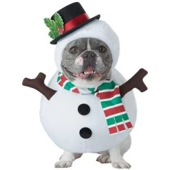 California Costumes Winter Snowman Pet Costume 9 California Costumes Winter Snowman Pet Costume -Pet Halloween Costumes Shop GUEST 407ff165 f822 449a 9a7b ba6292e2a56f 2