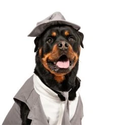 Midlee Dog Tuxedo Wedding Suit- Gray Top Hat & Leash -Pet Halloween Costumes Shop GUEST 42b16443 0f65 4832 984a 6c4ee08aabb0