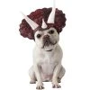 California Costumes Triceradog Pet Costume, Large -Pet Halloween Costumes Shop GUEST 469d8f2b 2c8e 496a b00b dc5990de4cf4