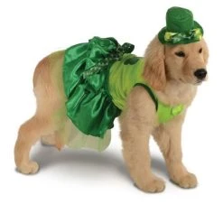 Rubie's Irish Girl Pet Costume