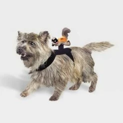 Rider Wings Halloween Superhero Squirrel Cat and Dog Costume - Hyde & EEK! Boutique™ 13 Rider Wings Halloween Superhero Squirrel Cat and Dog Costume - Hyde & EEK! Boutique™ -Pet Halloween Costumes Shop GUEST 47f8fb9b 2747 4874 8303 03ba78691f54