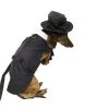 Midlee Dog Tuxedo Wedding Suit- Black Top Hat & Leash 2 Midlee Dog Tuxedo Wedding Suit- Black Top Hat & Leash -Pet Halloween Costumes Shop GUEST 4dedf61f 2500 4c77 89fd f29aad40d5a1