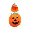 Zack & Zoey Pumpkin Pooch Dog Costume