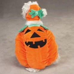 Zack & Zoey Pumpkin Pooch Dog Costume -Pet Halloween Costumes Shop GUEST 4ff6ef68 a5b9 44f8 aad3 b069cca97f28