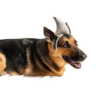 Midlee Shark Dog Headband Costume 3 Midlee Shark Dog Headband Costume - Image 2